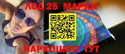 гидропоника Камышлов