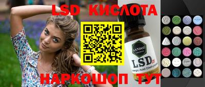 гидропоника Камышлов