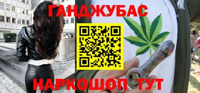 гидропоника Камышлов