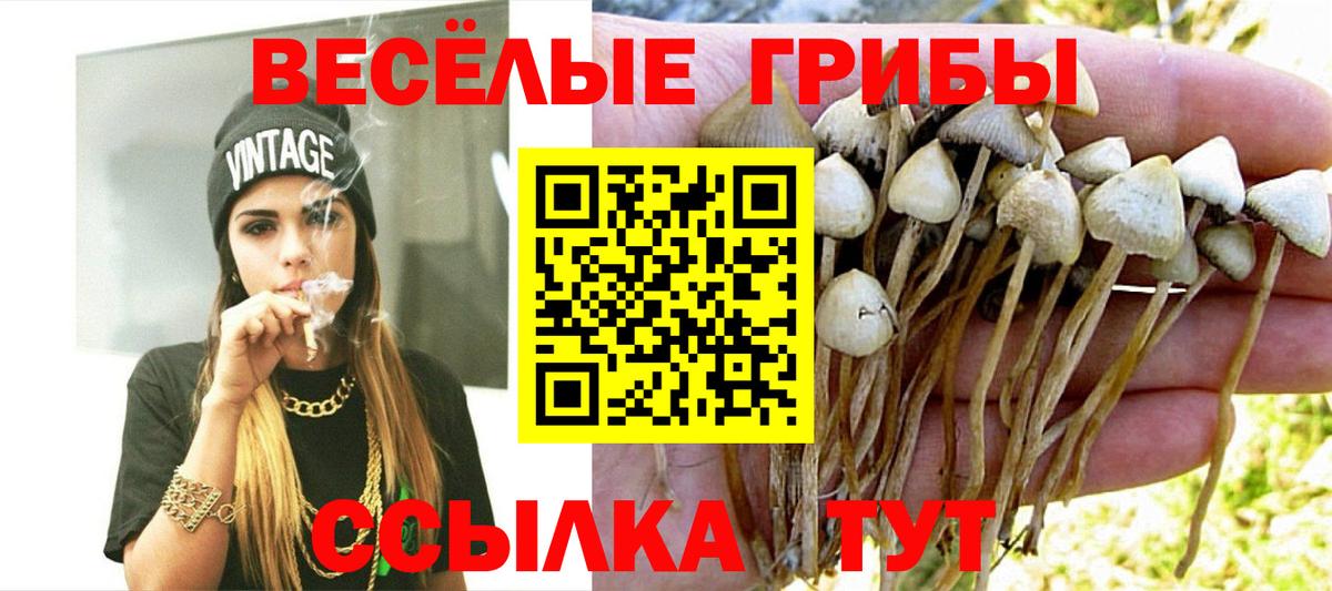 Егорьевск  Псилоцибиновые грибы GOLDEN TEACHER  Вход с VPN 